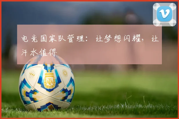 电竞国家队管理:让梦想闪耀,让汗水值得