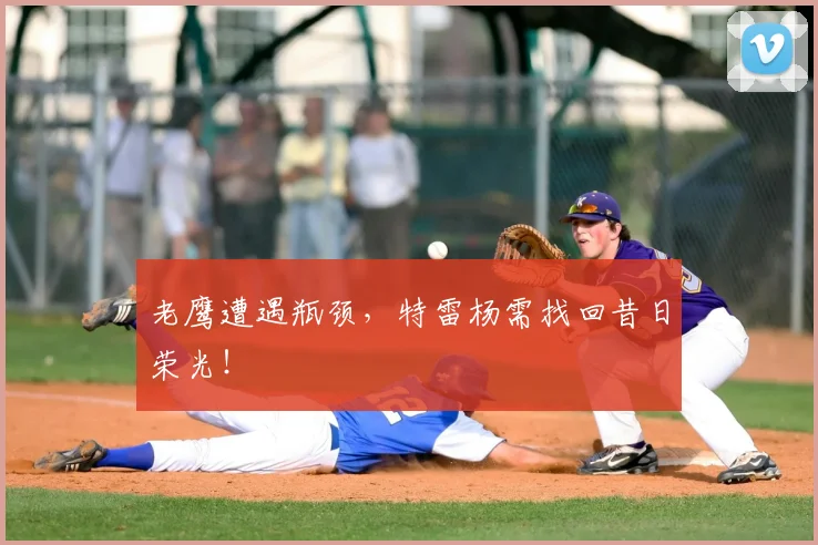 老鹰遭遇瓶颈,特雷杨需找回昔日荣光!