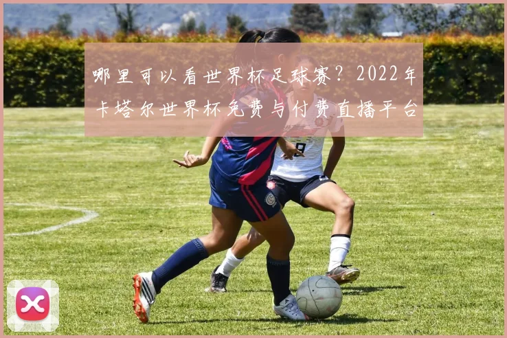 哪里可以看世界杯足球赛？2022年卡塔尔世界杯免费与付费直播平台全攻略