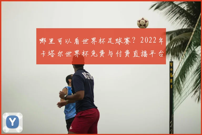哪里可以看世界杯足球赛?2022年卡塔尔世界杯免费与付费直播平台全攻略